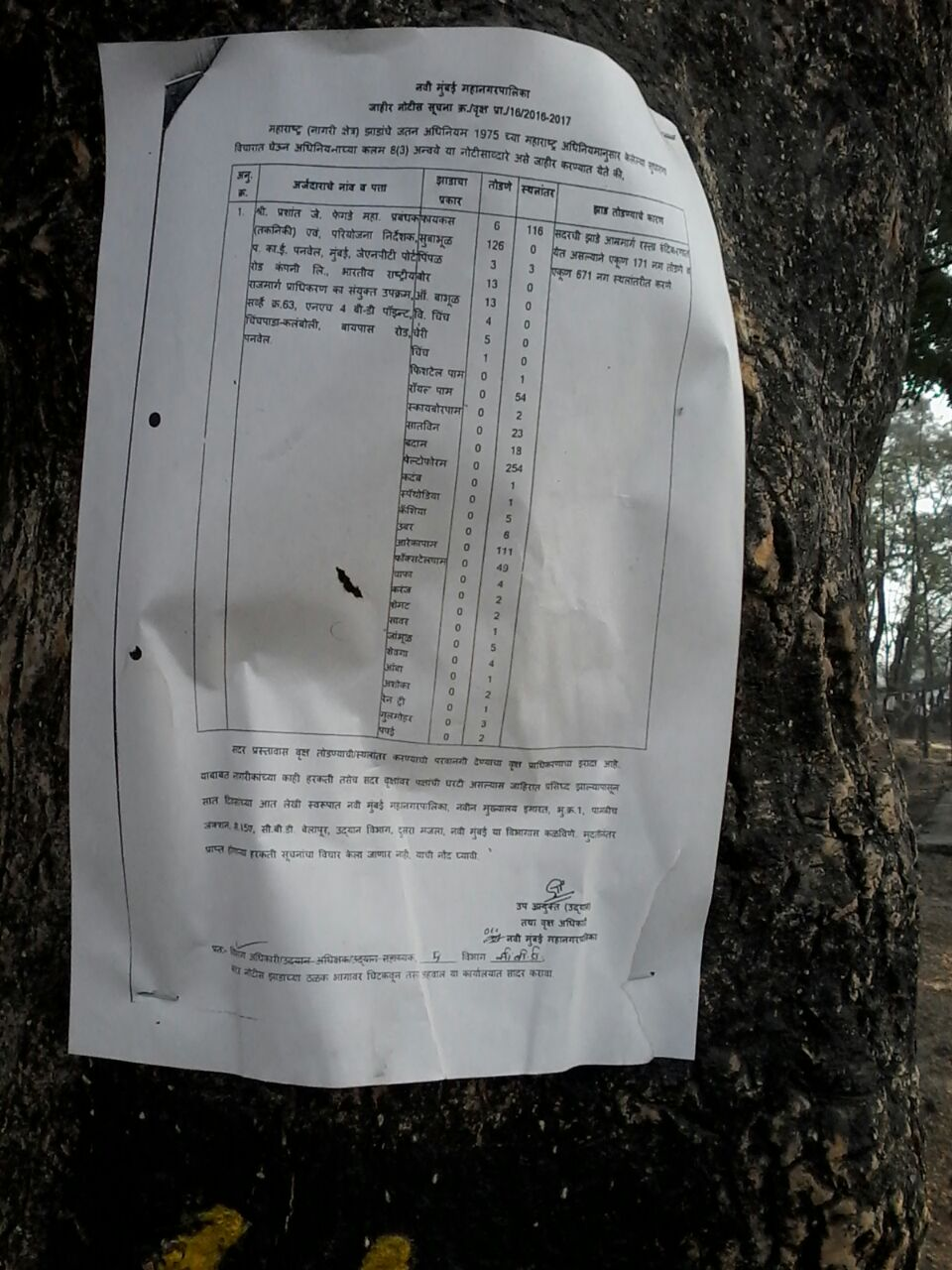 nmmc notice for tree cutting